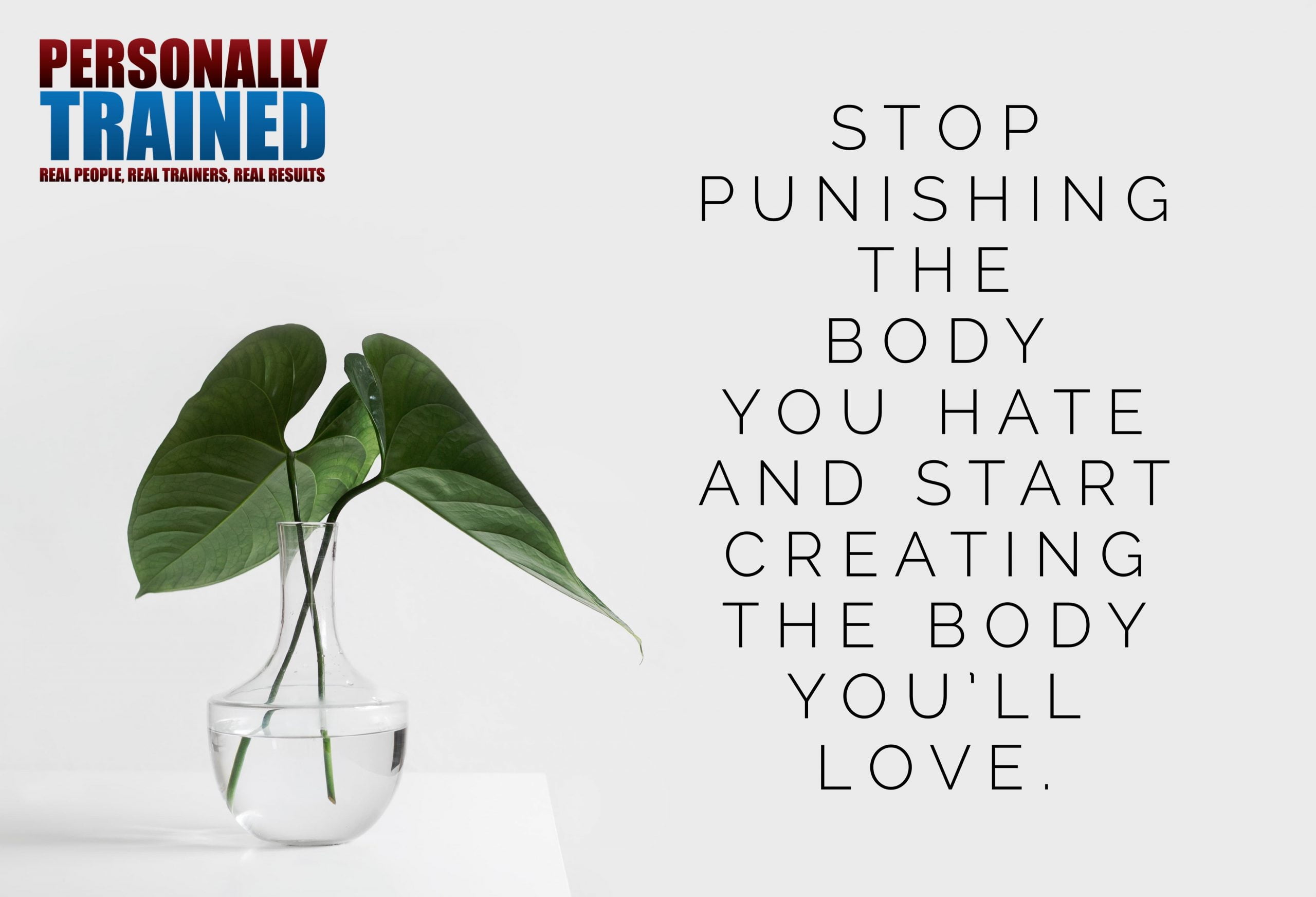 Stop punishing the body you hate and start creating the body you’ll love